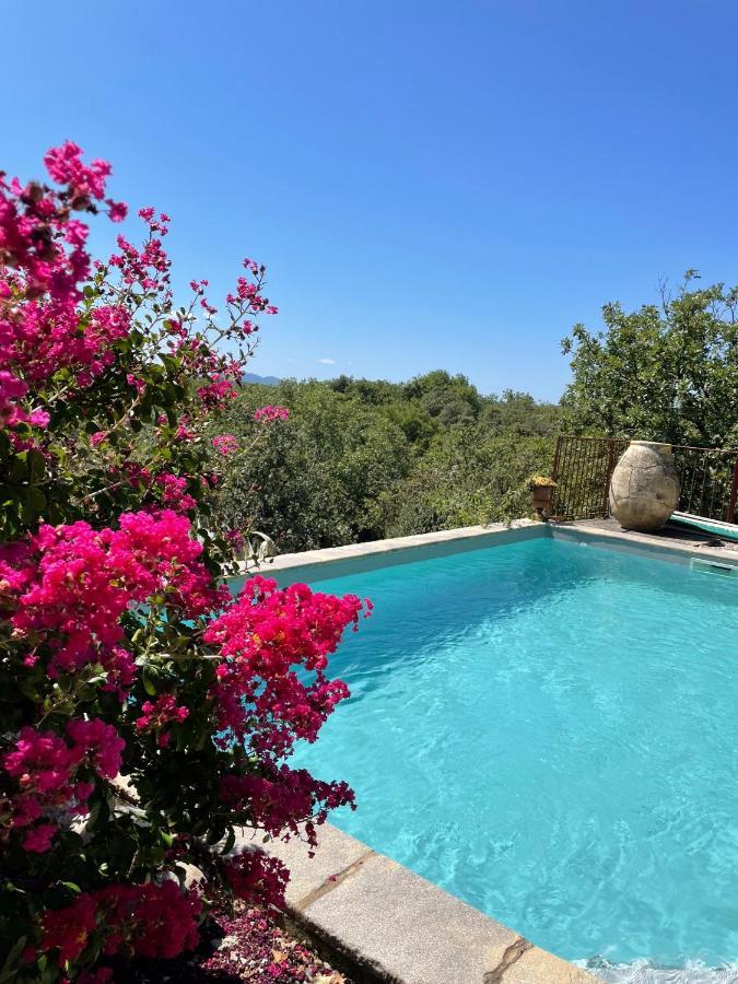 Le Petit Mas Bed & Breakfast โวกุเว ภายนอก รูปภาพ