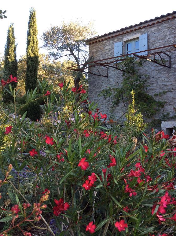 Le Petit Mas Bed & Breakfast โวกุเว ภายนอก รูปภาพ
